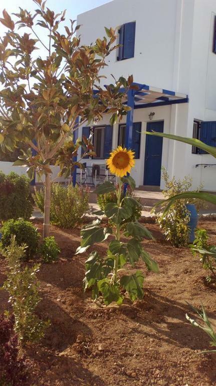 Ninemia Studios Serifos Island ภายนอก รูปภาพ